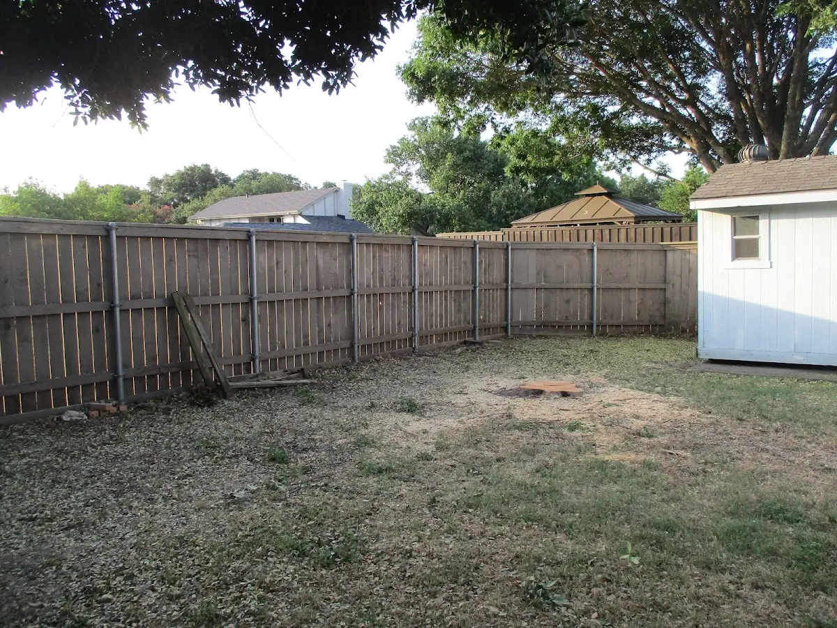 Cleared yard after professional tree removal in Winter Park