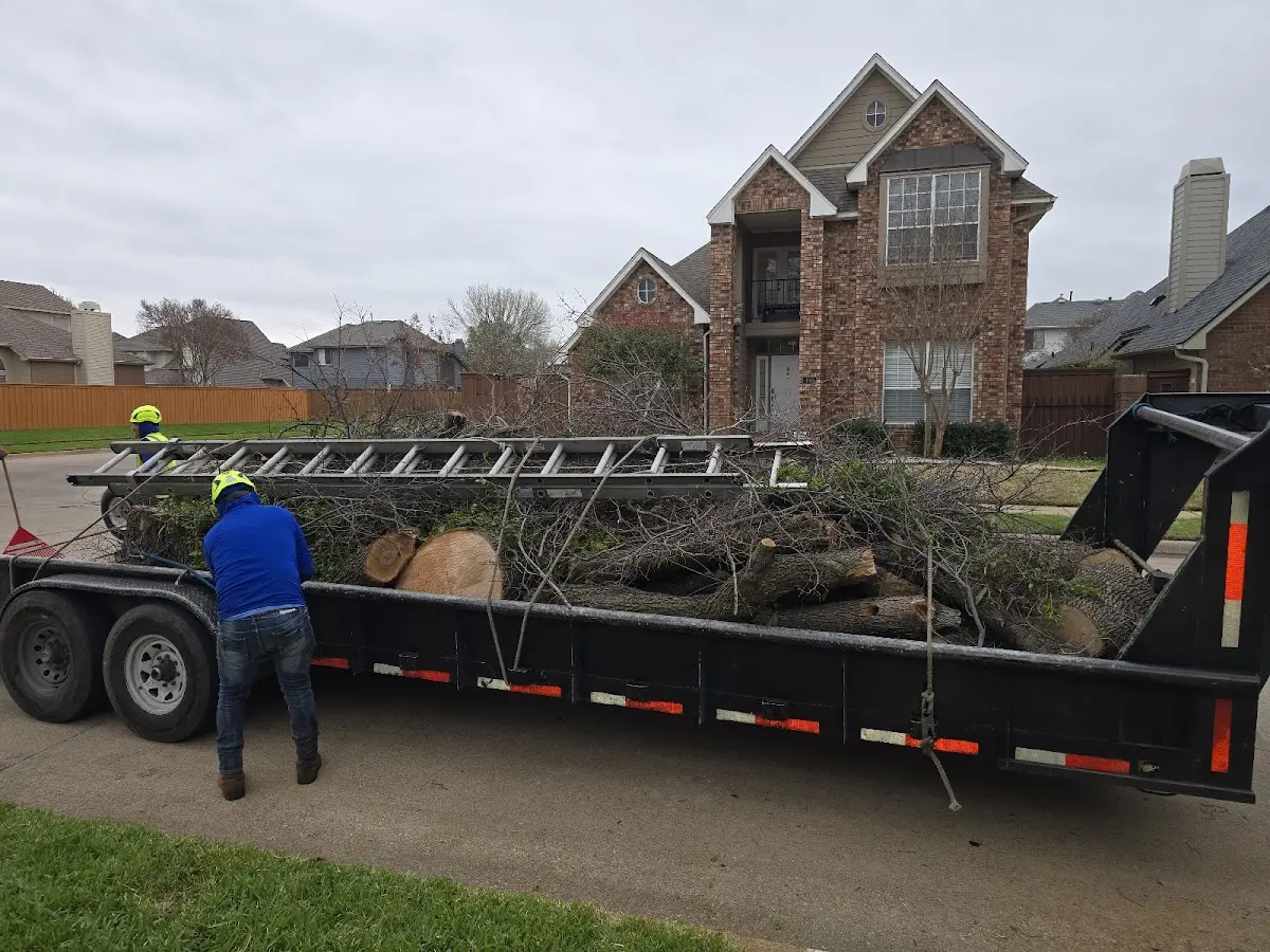 Expert Crown Reduction with proper safety equipment in Winter Park